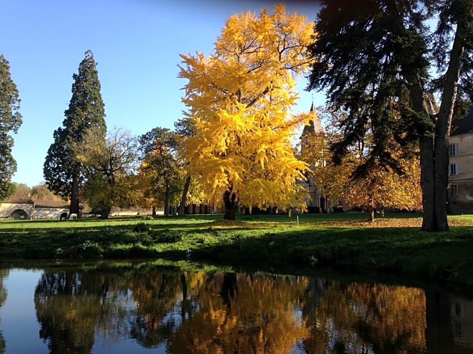 Chateau de Bresse sur Grosne