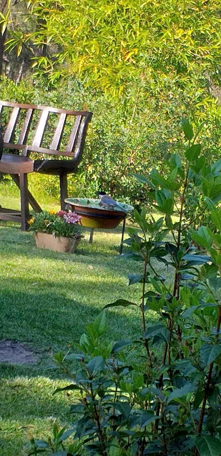 Ying Yang Monte da Lua