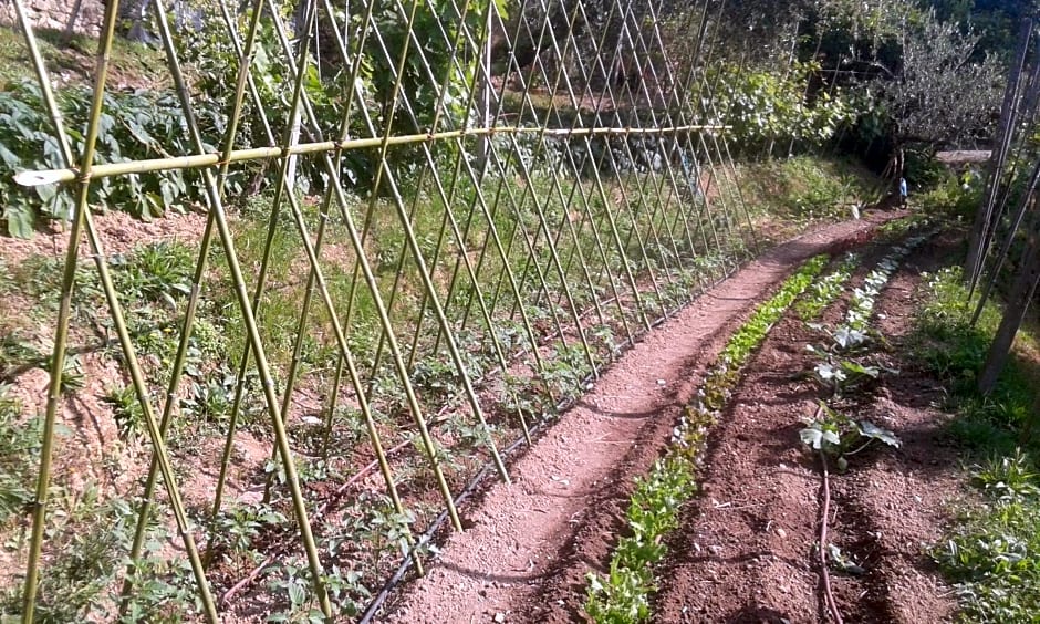 La Fattoria di Nonna Eugenia