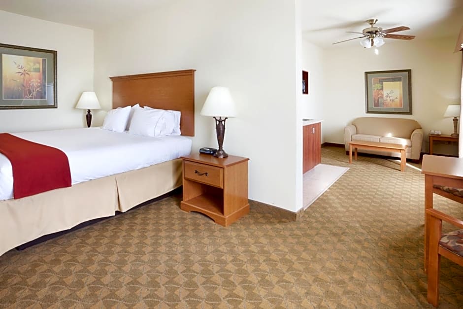 Holiday Inn Express Hotel & Suites Zapata