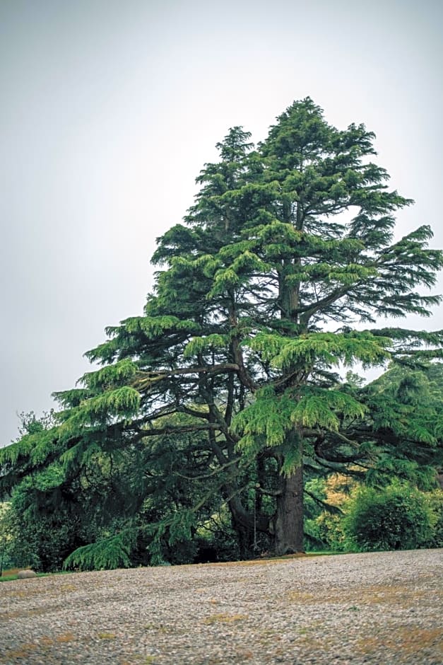 Ballydugan Country House