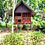 Khao Sok Green Mountain View