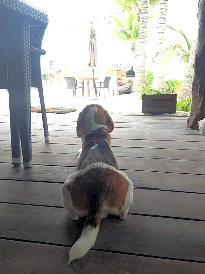 Casa Iguana Holbox - Beachfront Hotel