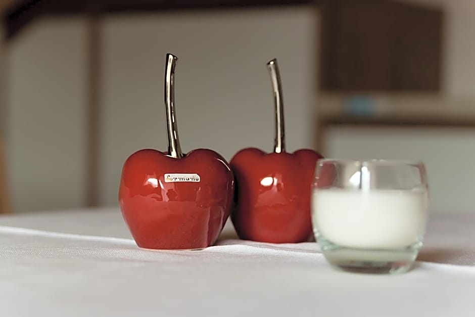 Pension Garden Hotel