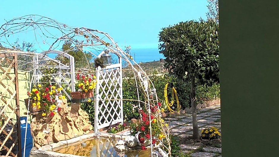 B&B Elfo degli Ulivi