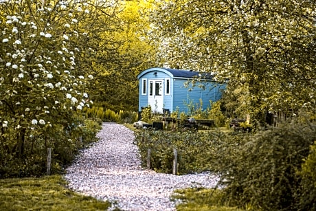 Tiny Houses Bij De Compagnons