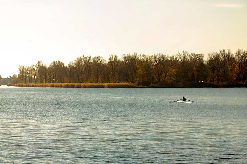 The rooms Bed & Breakfast