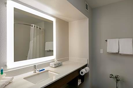 One-Bedroom King Suite