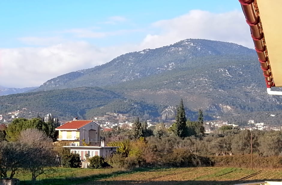 Artemis Marina Apartments