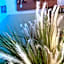 Albergo 900