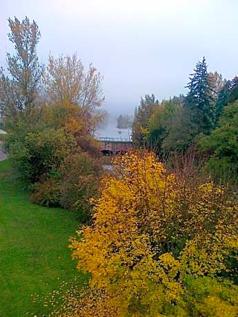 Apartment with Balcony and Park View