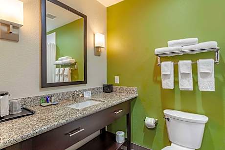 1 King Bed Efficiency Suite Nonsmoking Accessible