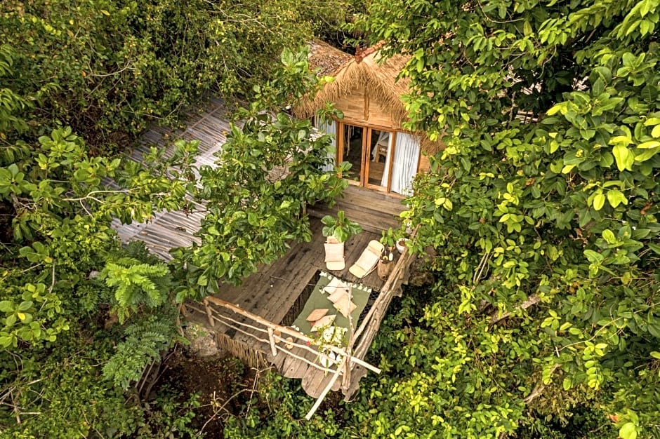 The Korowai
