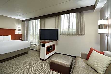 King Studio with Sofa Bed