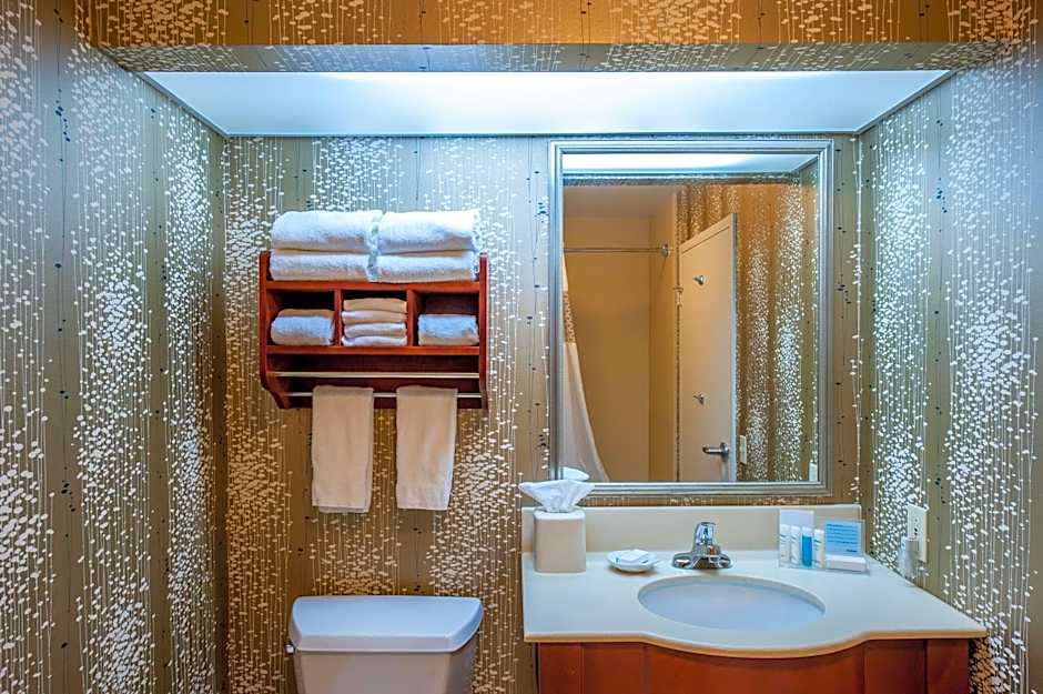 Hampton Inn By Hilton Bowling Green