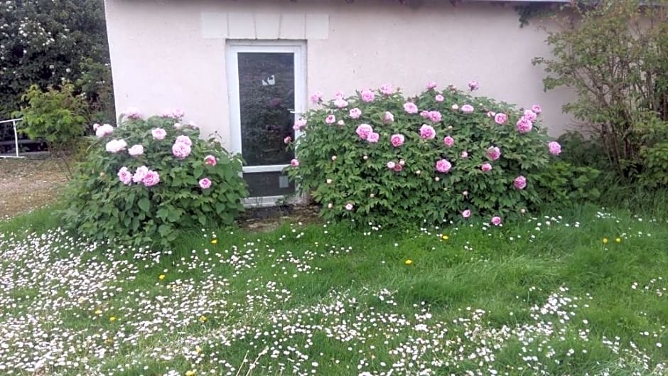 Chambre d'hôte Monthodon