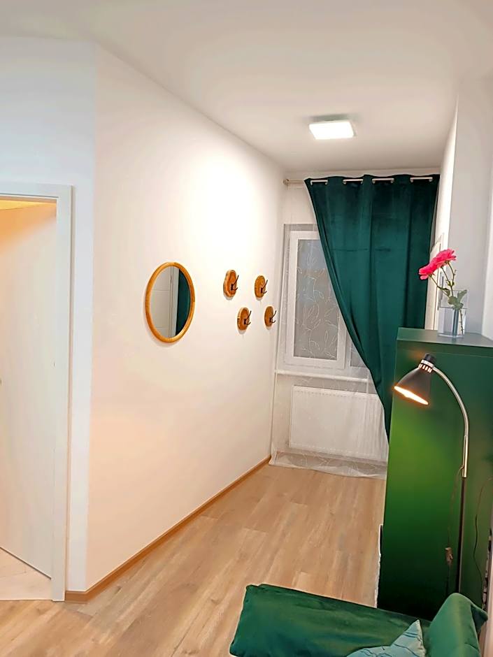 Apartments Romantic and Family Room Zemlinski