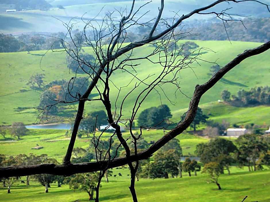 Lure Bed and Breakfast