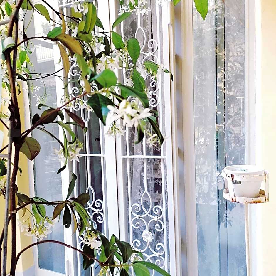Corte delle Camelie Bed and Breakfast