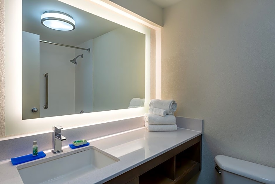 Holiday Inn Express Hotel & Suites Philadelphia - King of Prussia by IHG