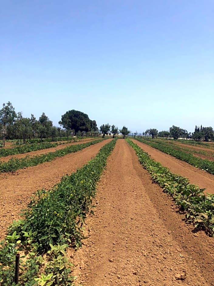 Agriturismo Donna Germana