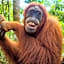 Asim Paris Guesthouse & jungle trekking