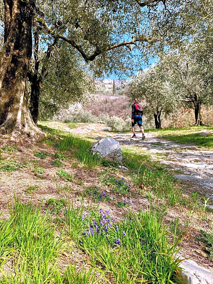 Albergo Garni Francesco