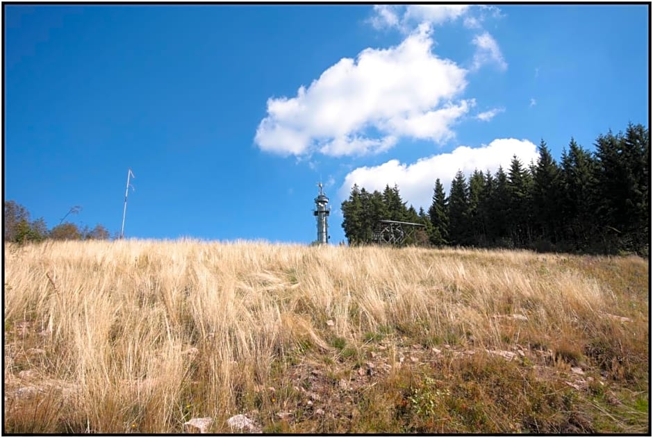 pop-up stuub feldberg