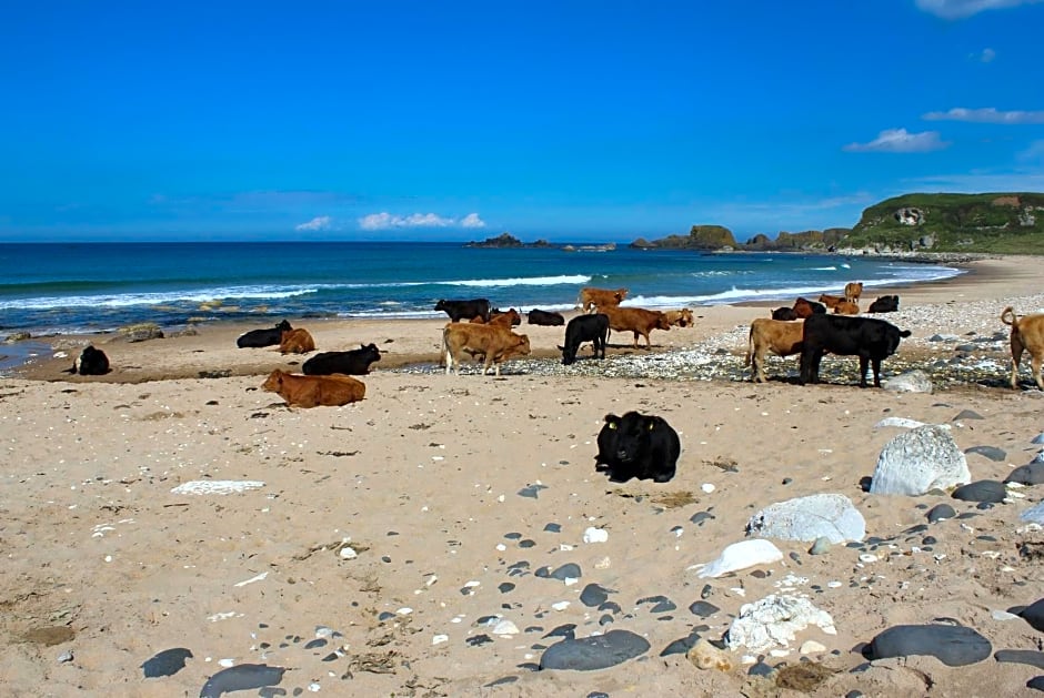 Glen Haven Bed and Breakfast