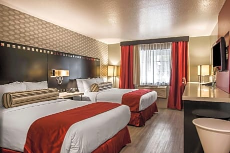 1 Bedroom Suite