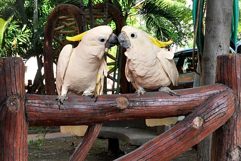 HOTEL SAIPALKHI NIWARA