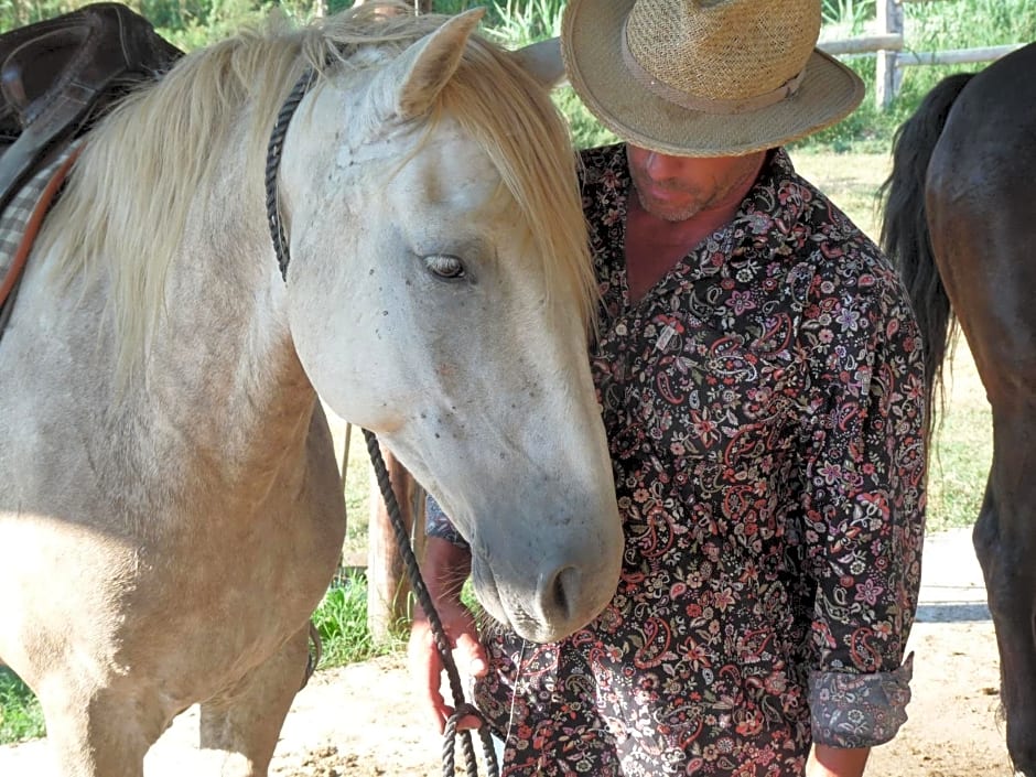 Bergerie d'Alivon en Camargue