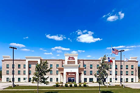 Hampton Inn By Hilton & Suites Dumas