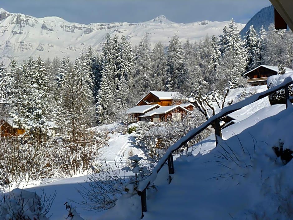 Chalet des Alpes