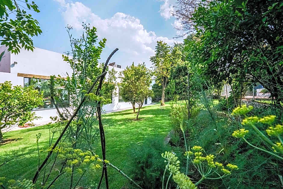 Luxury House Malinalco