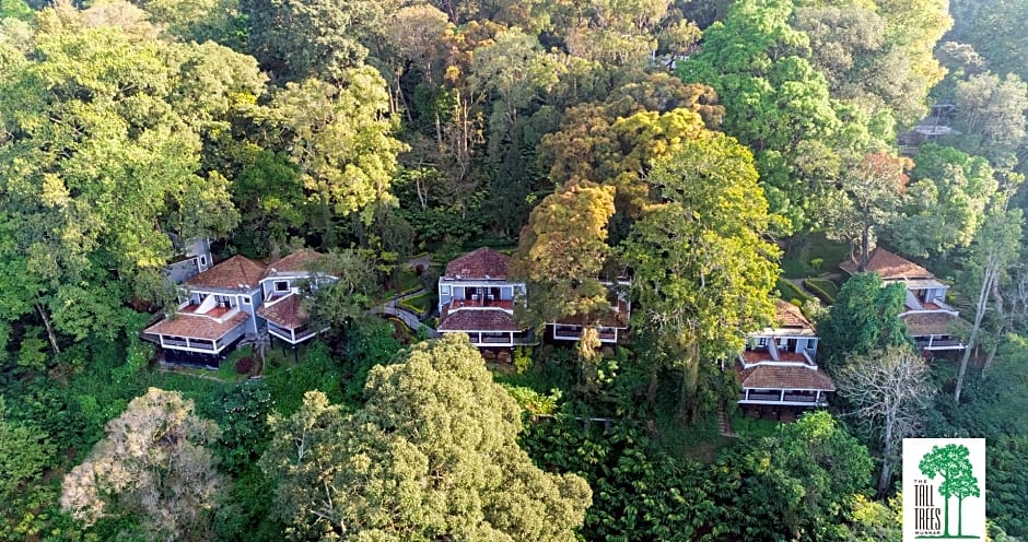 The Tall Trees Munnar