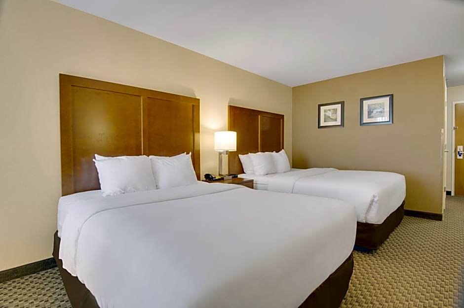 Comfort Inn Airport Roanoke