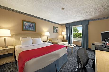 Queen Room - Disability Access - Non-Smoking