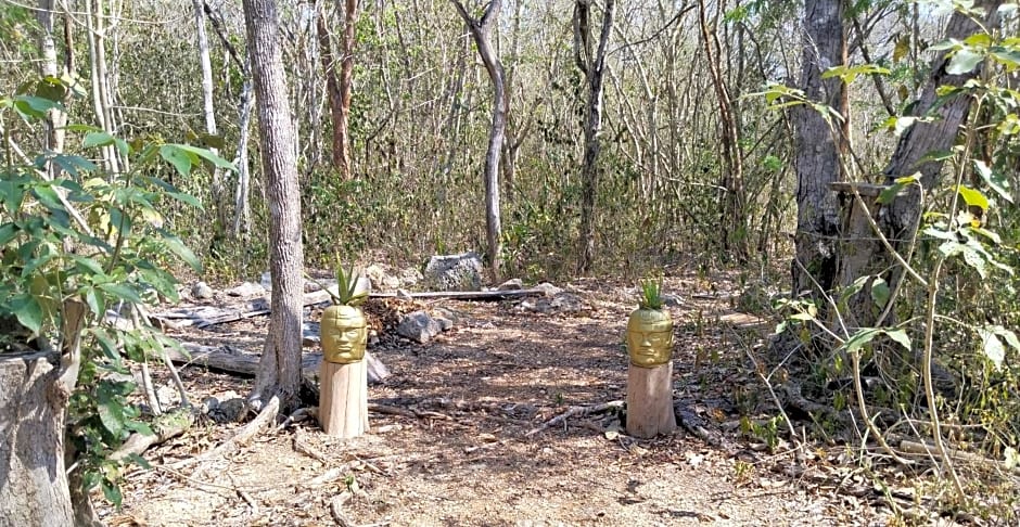 Rancho Aak