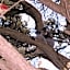 Portland Retro Motel