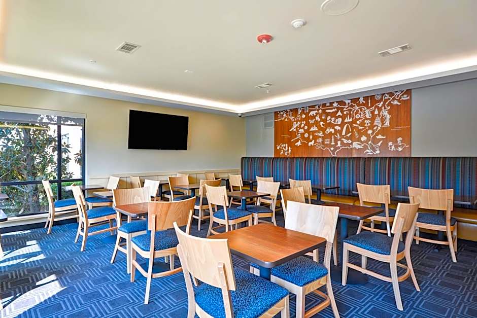 TownePlace Suites by Marriott Dallas Lewisville