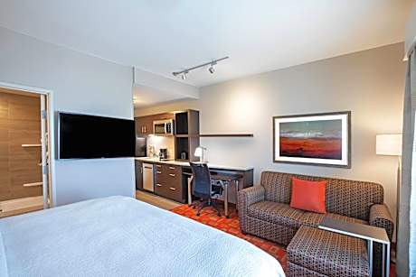 King Studio Suite with Sofa Bed - Hearing Accessible