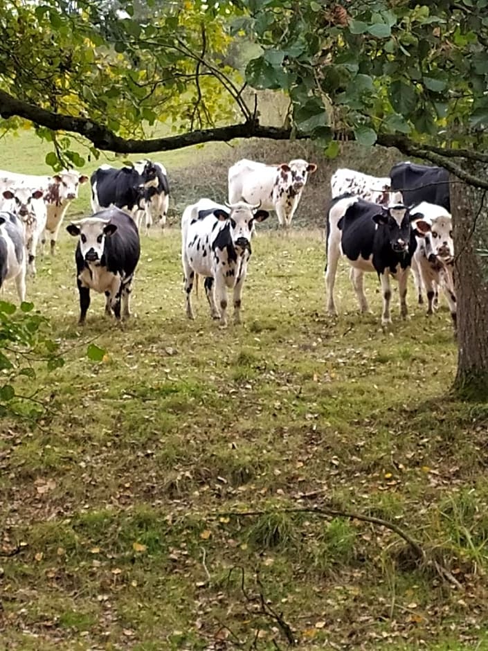Chambres d'Hôtes La Clef des Champs Normandie Manche 50