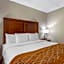 Comfort Inn Syosset-Long Island