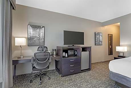 King Room with Roll-In Shower - Disability Access