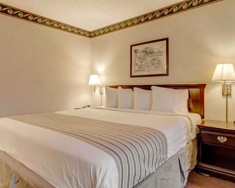 1 King Bed Nonsmoking