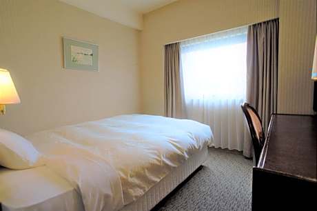 Economy Double Room - Non-Smoking