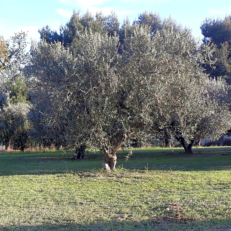 B&B Collina Sul Mare – Fermo, MO