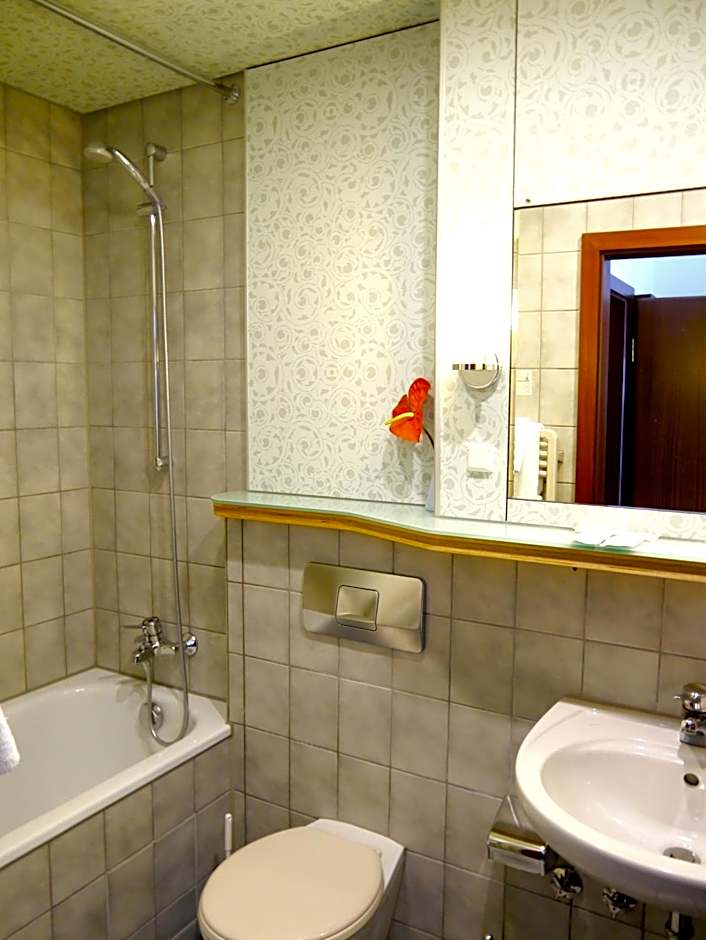 Stadthotel am Wasen