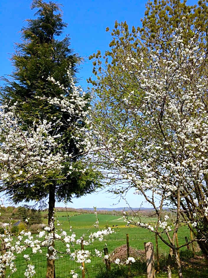 Greenfield Chambres d'Hôtes